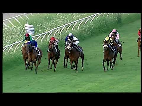Napoli Galoppo 14/07/2021 - 5ª corsa