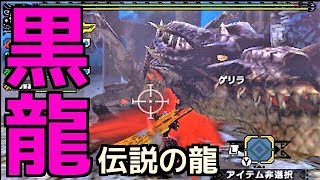 【MHXX】ヒーローって遅れて登場するよね？【モンスターハンターダブルクロス】