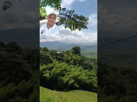 Balboa Risararalda Colombia Balcón Florido