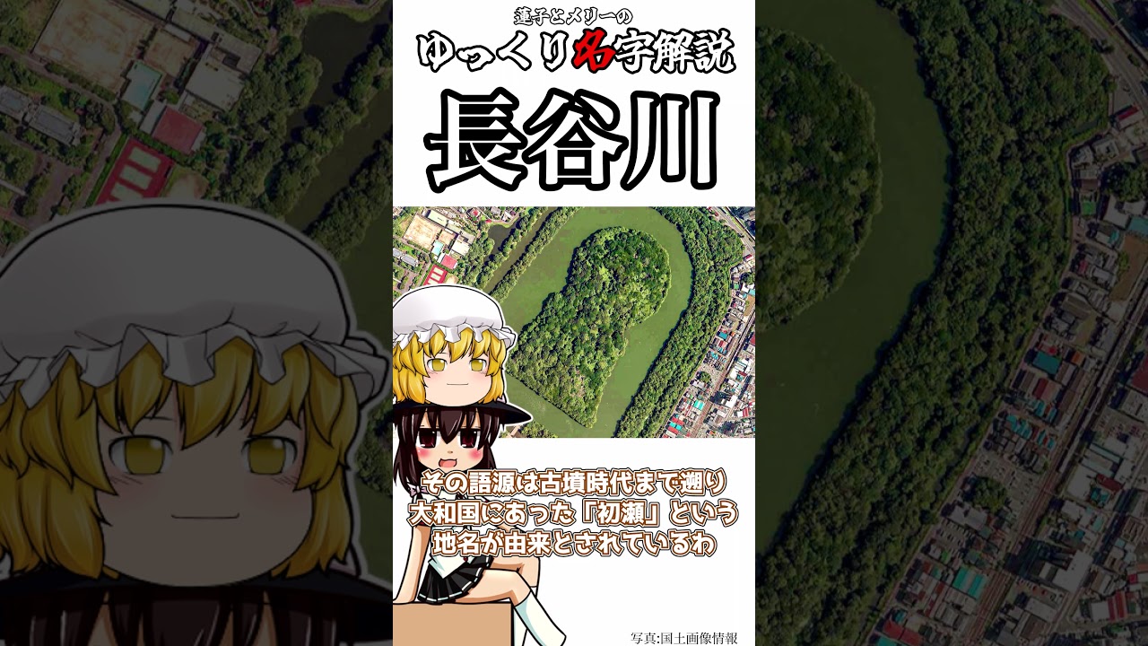 ゆっくり名字解説#52『長谷川』#shorts  #ゆっくり解説