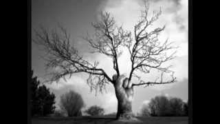 Disco Inferno - Waking Up