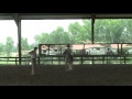 Misty Clinic 2009 5