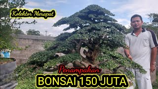 Download lagu Bonsai Serut 150 JT-bonsai tree-cây cảnh cạo râu 150 triệu (@abadibonsai6982) mp3 Download lagu Bonsai Serut 150 JT-bonsai tree-cây cảnh cạo râu 150 triệu (@abadibonsai6982) mp3