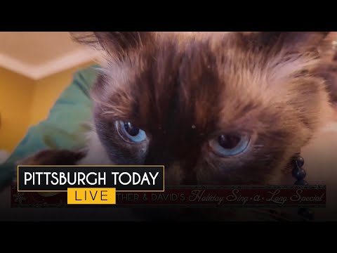 Marvin makes surprise appearance | Heather and David's Holiday Sing-a-Long Special