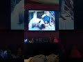 KIDSONGS IF WE COULD TALK TO THE ANIMALS 1993 VHS