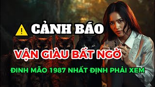 Shiver! Sim Card Compatible with Female Dinh Mao 1987: Open the Door and Win Gold, Change House a...