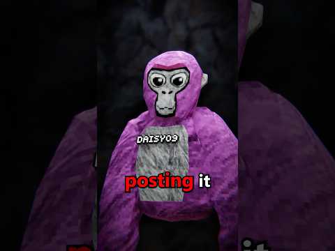 The Story of Daisy09… #gorillatag #gtag #vr