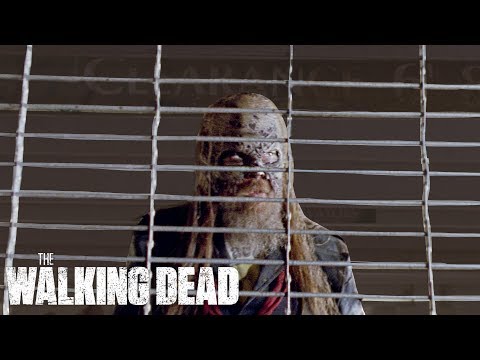 afbeelding The Walking Dead Season 10 Teaser: Hold Our Breath