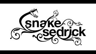 Snake Sedrick ⚕ In The Mix 2006 ᴴᴰ