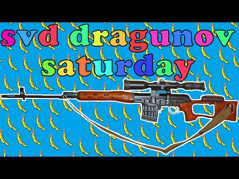 SVD Dragunov saturday