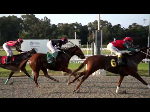 220709 c07 HABANAISE