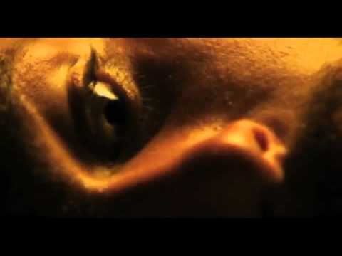 Avicii Vs Kings of Leon - Levels on fire (Sjökexetmix).mov