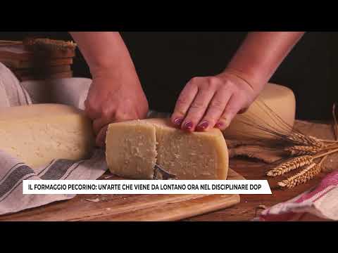 IL FORMAGGIO PECORINO: UN’ARTE CHE VIENE DA LONTANO ORA NEL DISCIPLINARE DOP (02-09-2025)