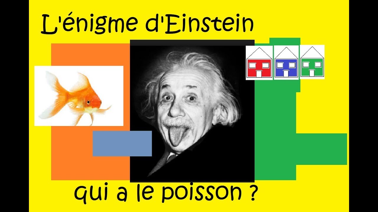 La célèbre énigme  d'Einstein !!!!