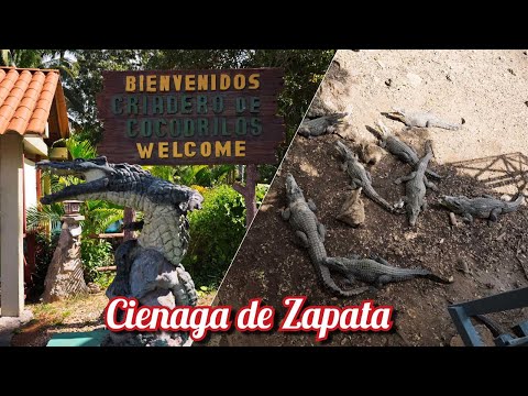 Cienaga de Zapata visit, Cuba