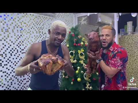 GATTUSO e Nagrelha dos Lambas - se fazendo de animais do natal 😂😂😂