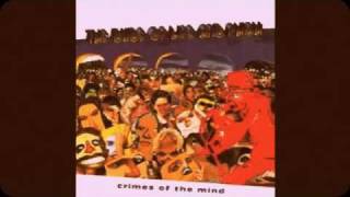 The Dude of Life and Phish - Crimes of the Mind