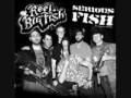 Reel Big Fish 'Thankyou for not Moshing'