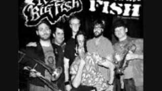 Reel Big Fish 'Thankyou for not Moshing'