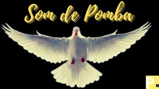 Som de pomba - som de pomba cantando -  Som de animais - efeito sonoro - V1k1 - Yn4n - dove sounds