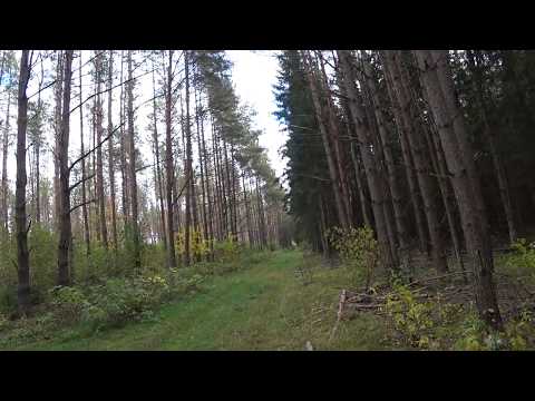 Отличное открытие охоты на зайца с гончими 2019 2020 РЕЗУЛЬТАТ ЕСТЬ!!!