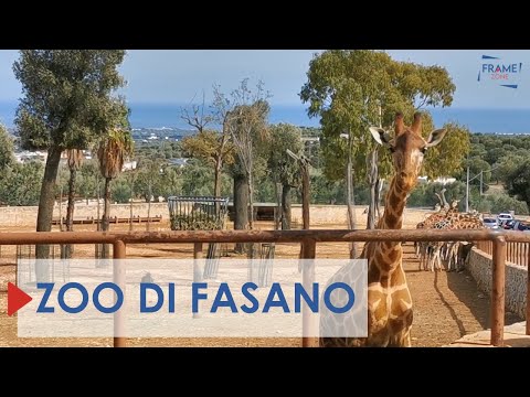 Fasano Zoo, a wonderful encounter with animals from around the world