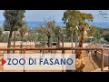 Fasano Zoo A Wonderful Encounter With Animals From Around The World