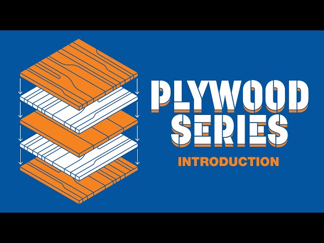 Introducing Our New Plywood Series