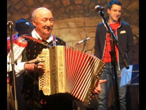 Ansambel Franca Potočarja s prijatelji - Najini vnučki