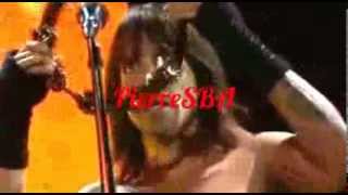 Red Hot Chili Peppers Parc Des Princes 2004 PROSHOT - Black Cross