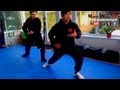Tai Chi Lesson With Master Wong