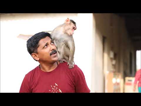 Govind Parkar Panvatha Ppt