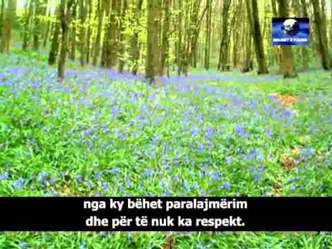 Kur del muslimani nga menhexhi Selefi" Shejh Meshhur Hasen (Allahu e ruajt)