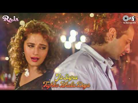 Jaa Sajna Tujhko Bhula Diya - Full Audio | Raja | Madhuri Dixit, Sanjay | Alka Yagnik, Udit Narayan