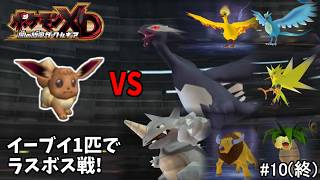 【ラストクレイン】イーブイ1匹でダークルギア攻略できるのか 完結編！【ポケモンXD 闇の旋風ダークルギア #10（終）】