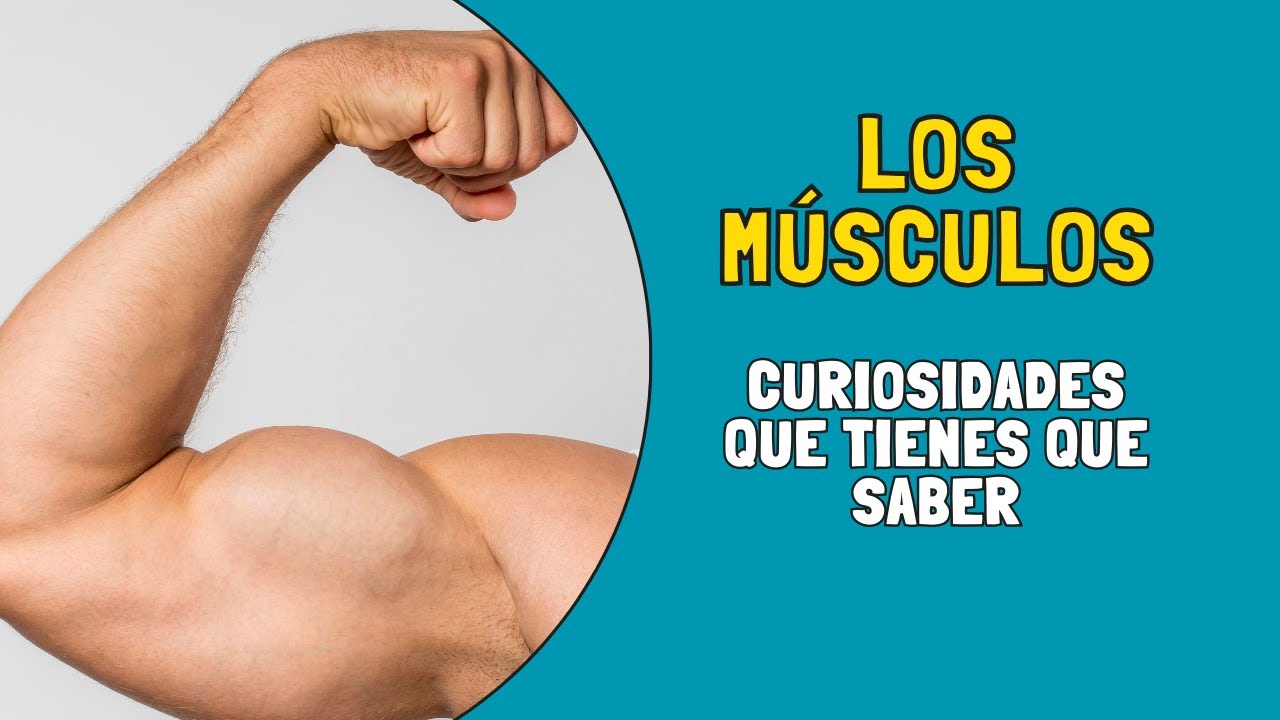 ✅ Interesting facts about muscles that you should know