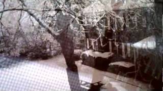 Hooray For Earth - No Love