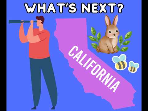 California Weather: Feb 25th What's Next?