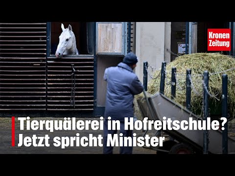 Tierquälerei in Hofreitschule? Das sagt Minister | krone.tv NEWS