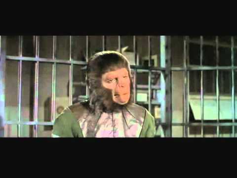 Dr. Milo Explains Time Travel