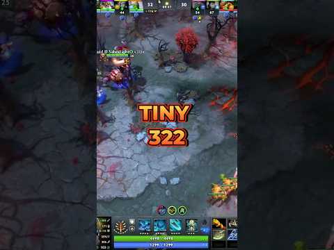 Tiny 322 Keke #dota2