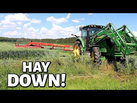 WE FIXED IT!!  (Second Cut Hay 2020 - Part 2):  Vlog 319
