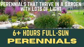 15 BEST Drought Tolerant Perennials | Best Perennials For Small Yards | Sun Loving Perennials