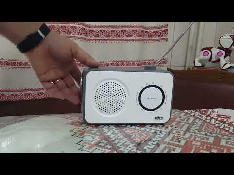 Radio Silva Schneider M295TR (Germany)