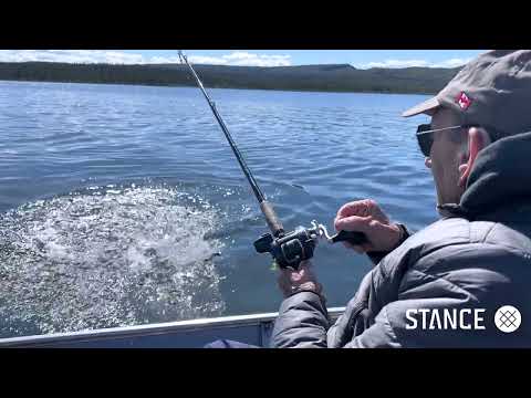 Stance 2 Commercial By David Saner