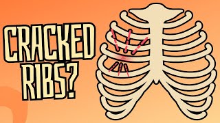 Cracked &amp; Broken Ribs: Symptoms, Treatment, &amp; Recovery Time.