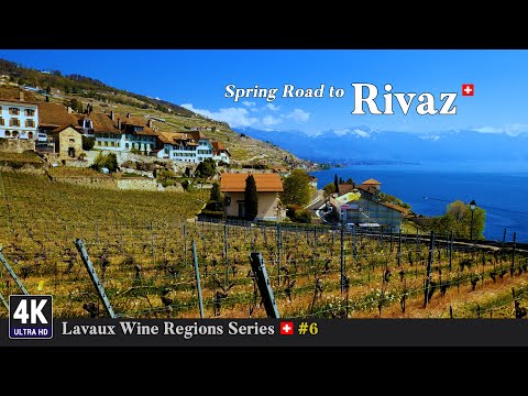 Lavaux Vineyards Switzerland 🇨🇭 Ep#6 - Scenic Spring Road Trip from Châtelard Lutry to Rivaz, Vaud