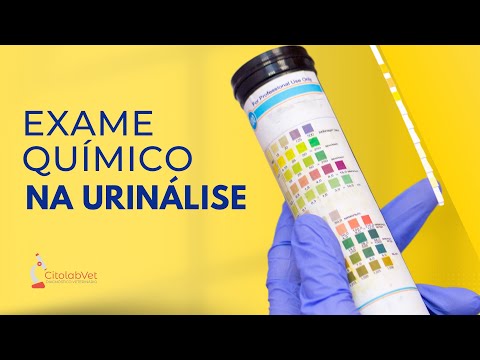 Exame químico na urinálise