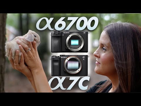Sony a6700 vs Sony A7C - Which Hybrid Camera is Better?