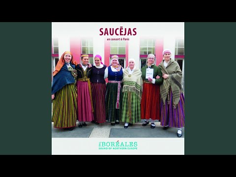 Ootko Kulkenut Sä Sadepilven Alla - Kerttu Juva